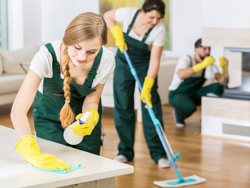 Housekeeping Cleaner L1 (390 hr)